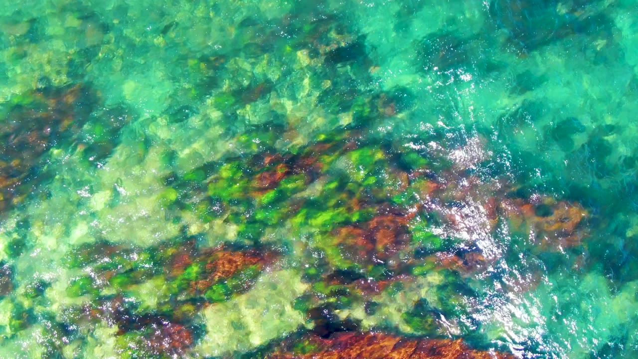 Overhead view of clear turquoise water in La Bocana, Baja California Sur, with rocky seabed patches, green-brown marine growth, bright surface glare, and no visible people.