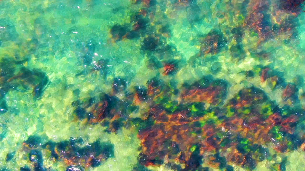 Overhead view of clear turquoise water in La Bocana, Baja California Sur, showing rocky seabed texture, dark reddish seaweed patches, sun sparkle, and no visible people.
