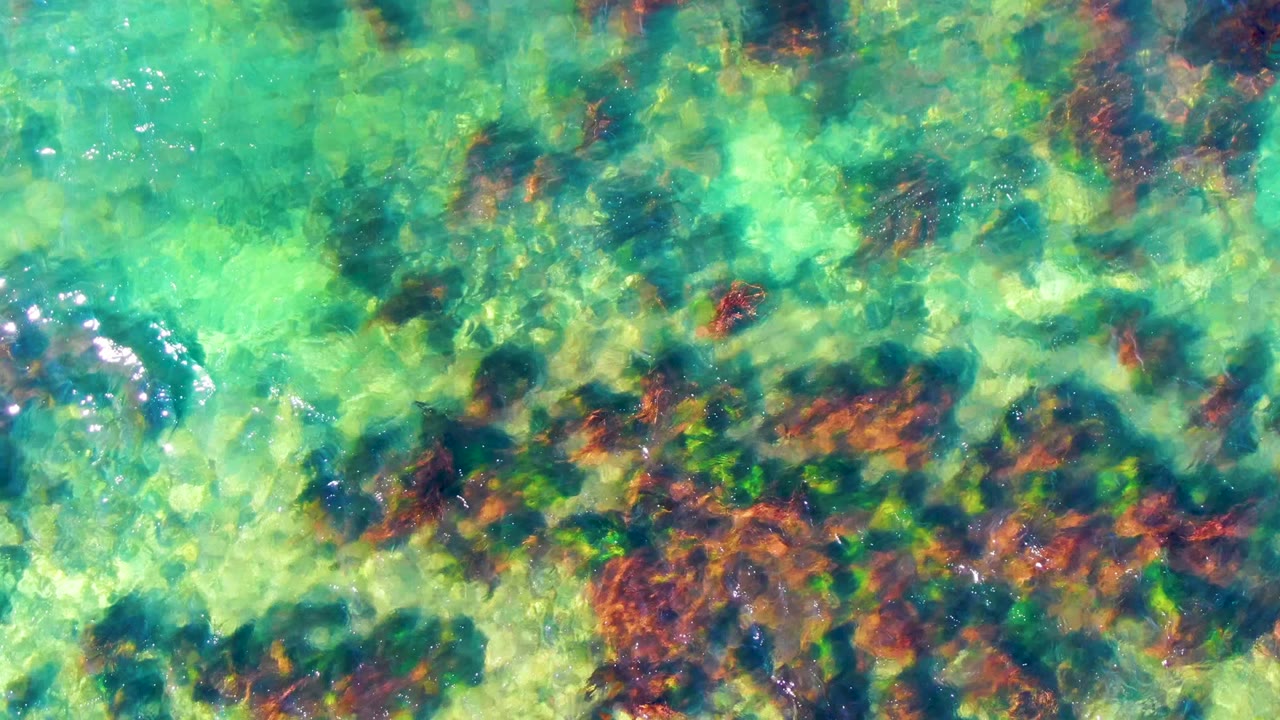 Clear green-blue water with reddish underwater vegetation and ripples.