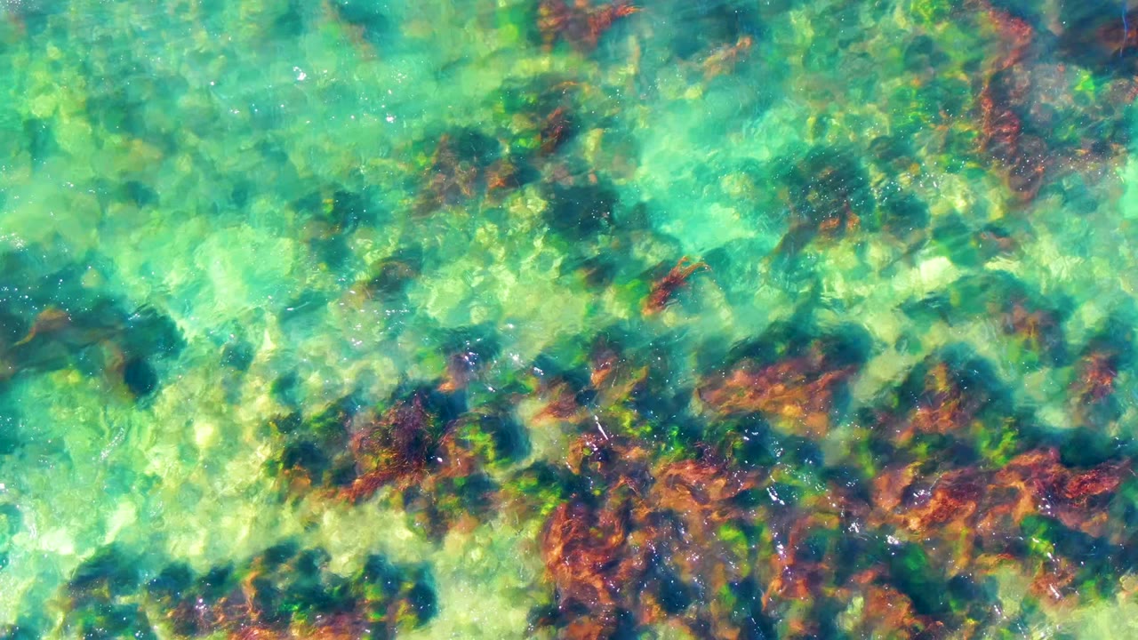 A brighter overhead section of La Bocana shallow water reveals pale rock shapes, darker seabed patches, reddish plant clusters, and no visible people.