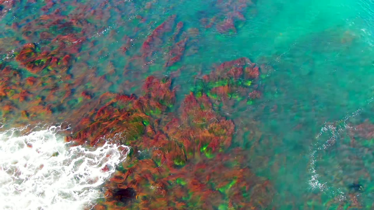 Overhead frame from La Bocana, Baja California Sur, showing turquoise water over red-brown submerged rocks and white foam entering from the lower left, with no visible people.