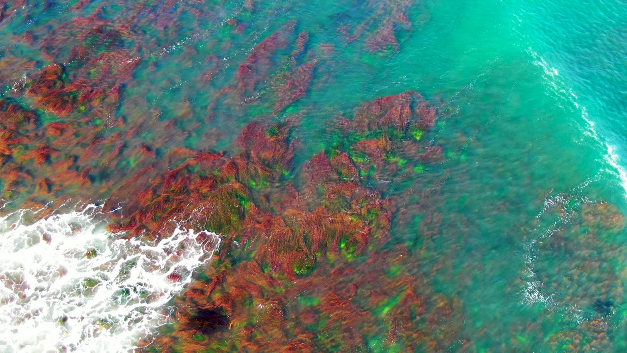 White surf spreads over red rocks beneath clear turquoise water.