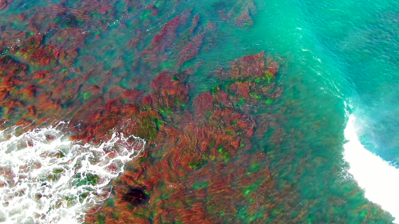 Aerial view in La Bocana with white foam breaking across the left edge of the rocky seabed and open turquoise water on the right, with no visible people.