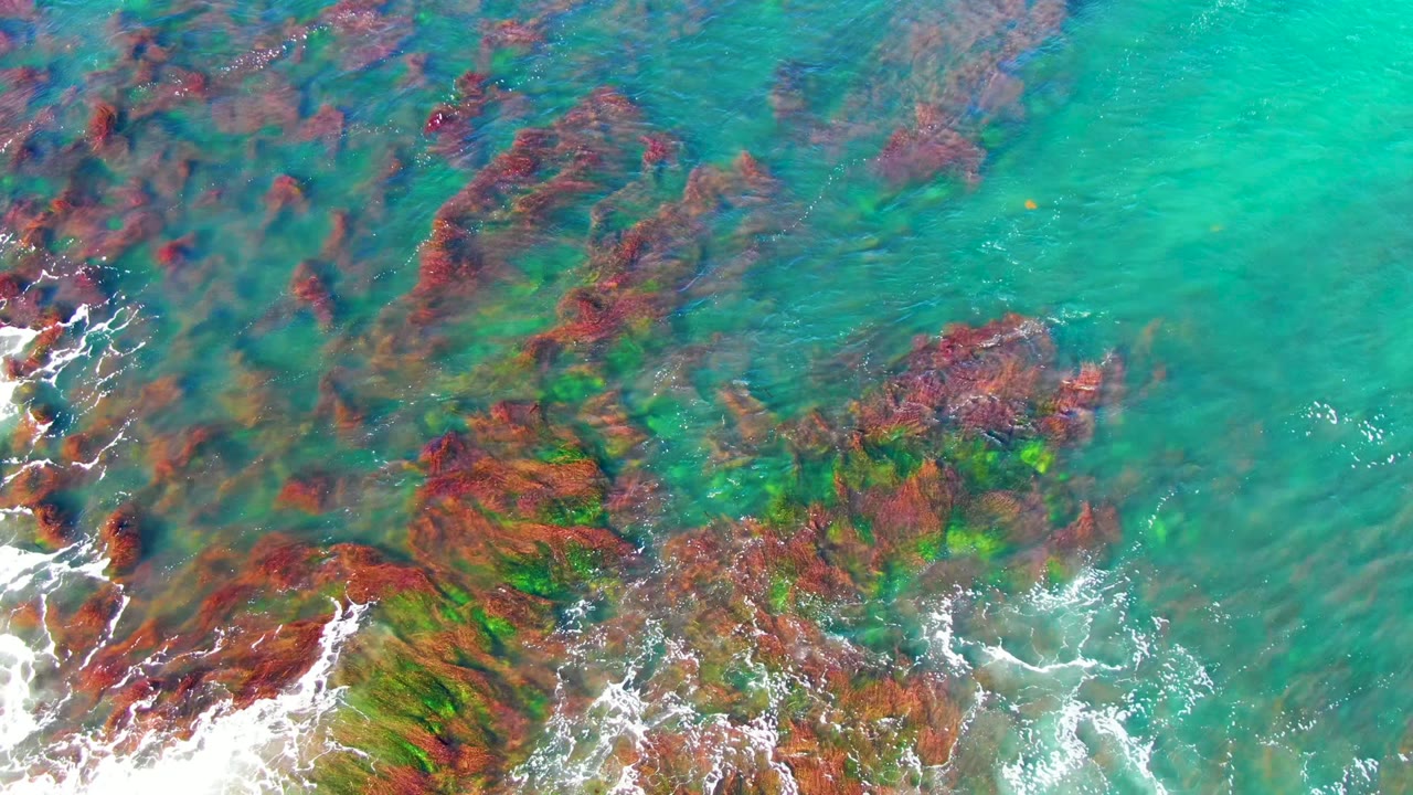 Overhead view of turquoise water washing across red-brown coastal rocks with green algae tones in La Bocana, Baja California Sur, with no visible people.