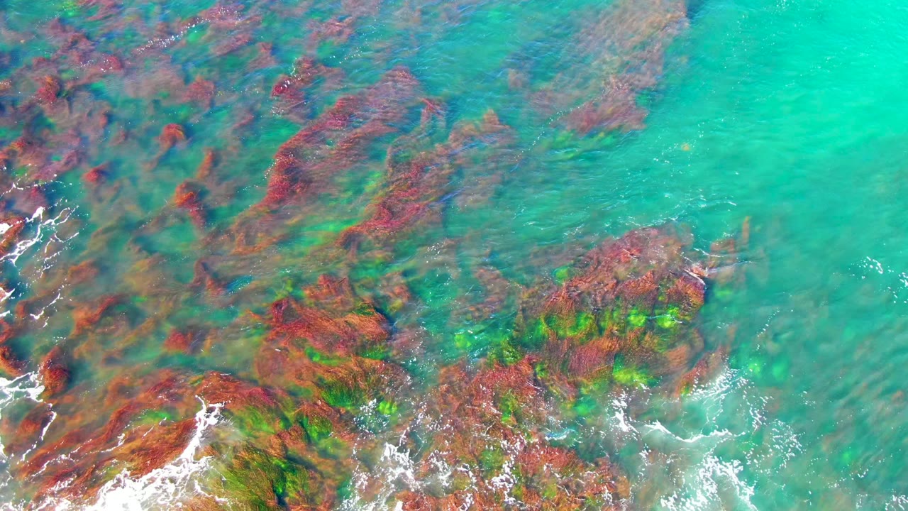 Clear turquoise water over red rocks and green algae patches.