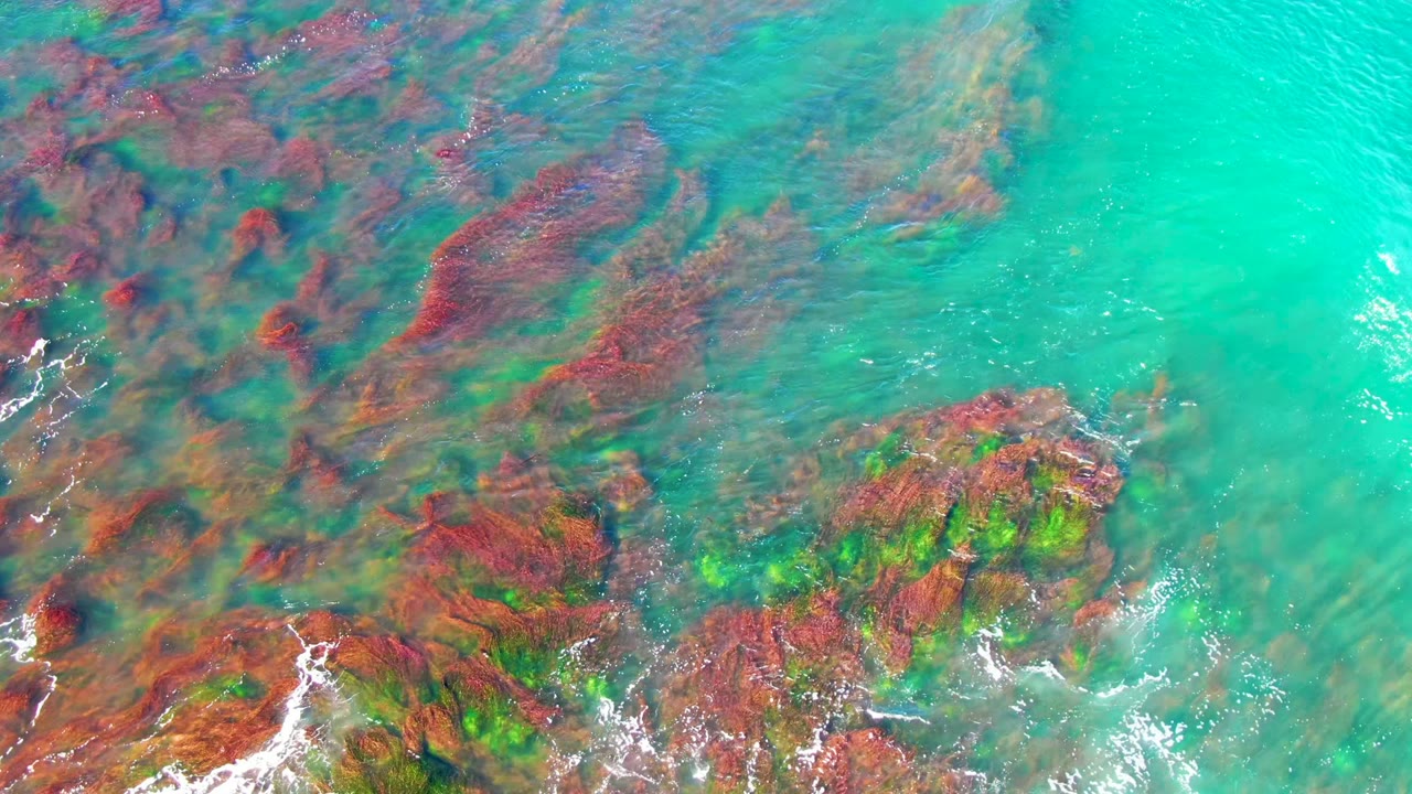 Top-down coastal view in La Bocana with turquoise water covering dark red rock formations, bright green patches, and foam breaking near the lower left, with no visible people.