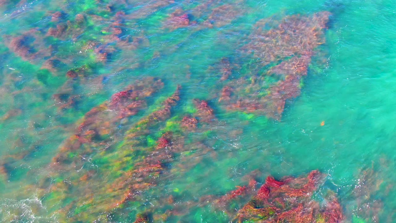 Clear turquoise water over red and brown coral patches
