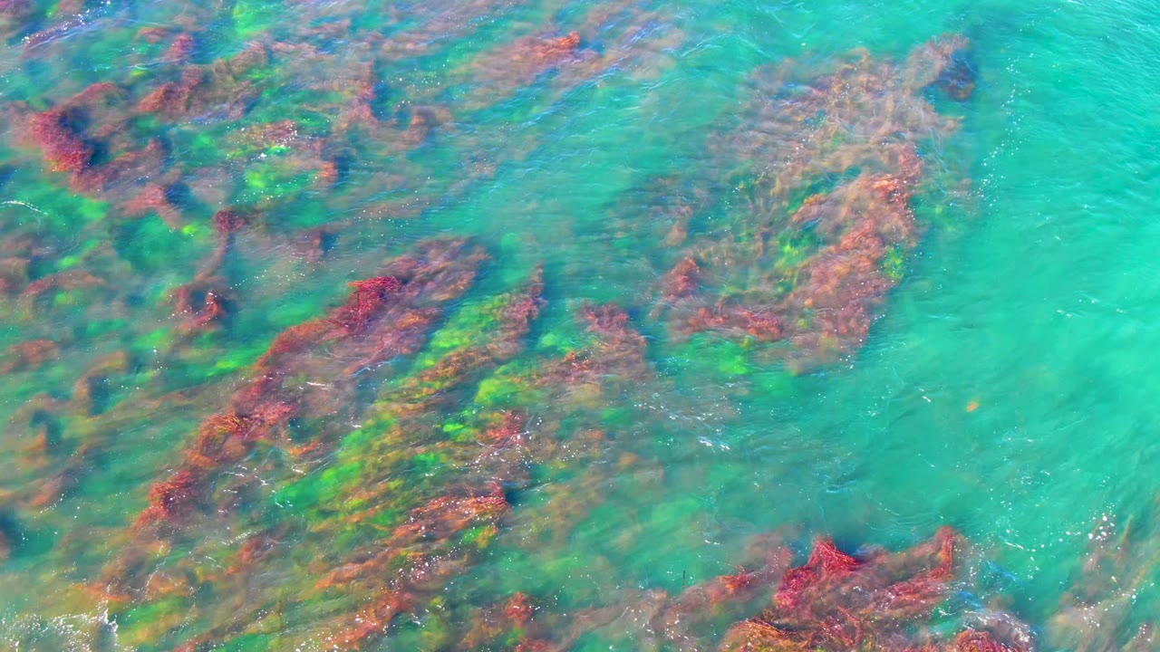 Reddish coral formations stretch diagonally beneath clear turquoise La Bocana water, with green seabed areas, small surface highlights, and no visible people.