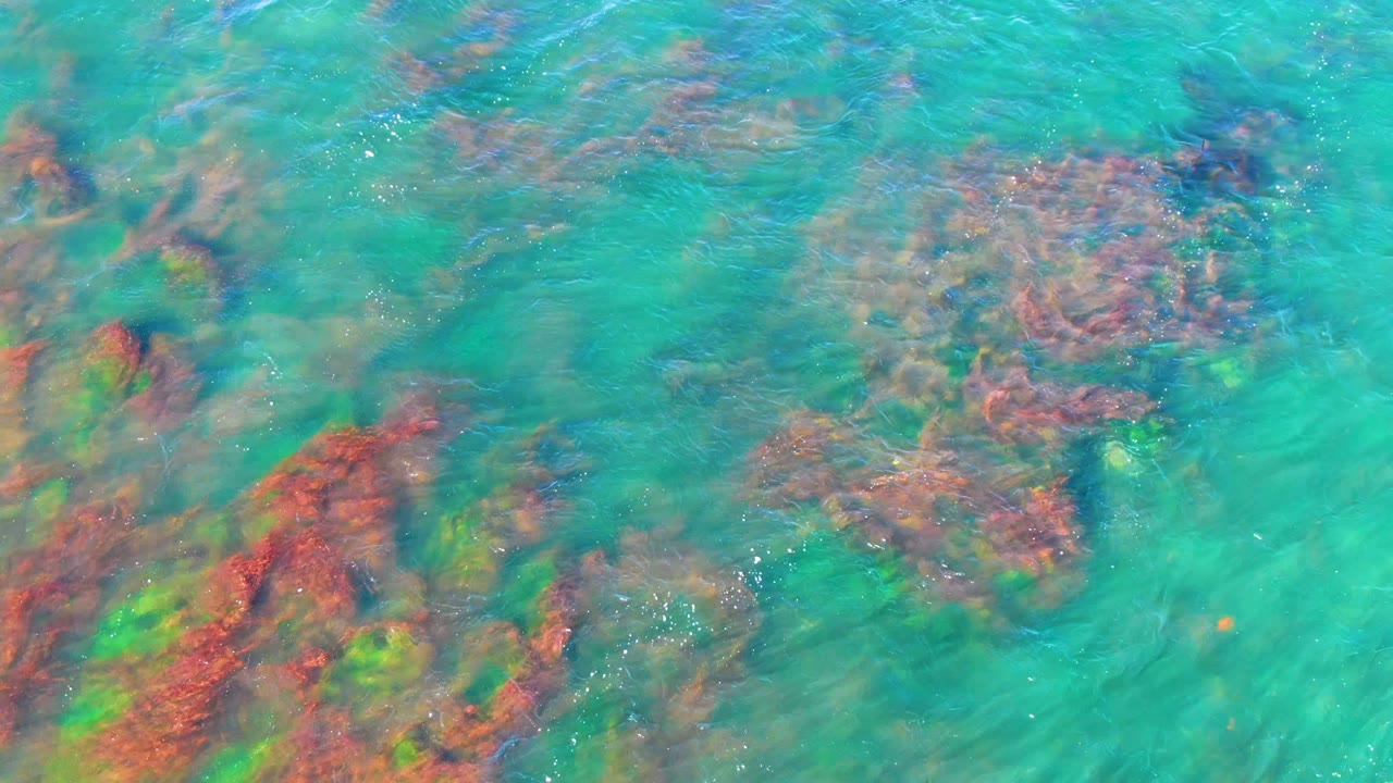 Overhead view of clear turquoise water over red and green algae-covered rocks in La Bocana, Baja California Sur, with no visible people.