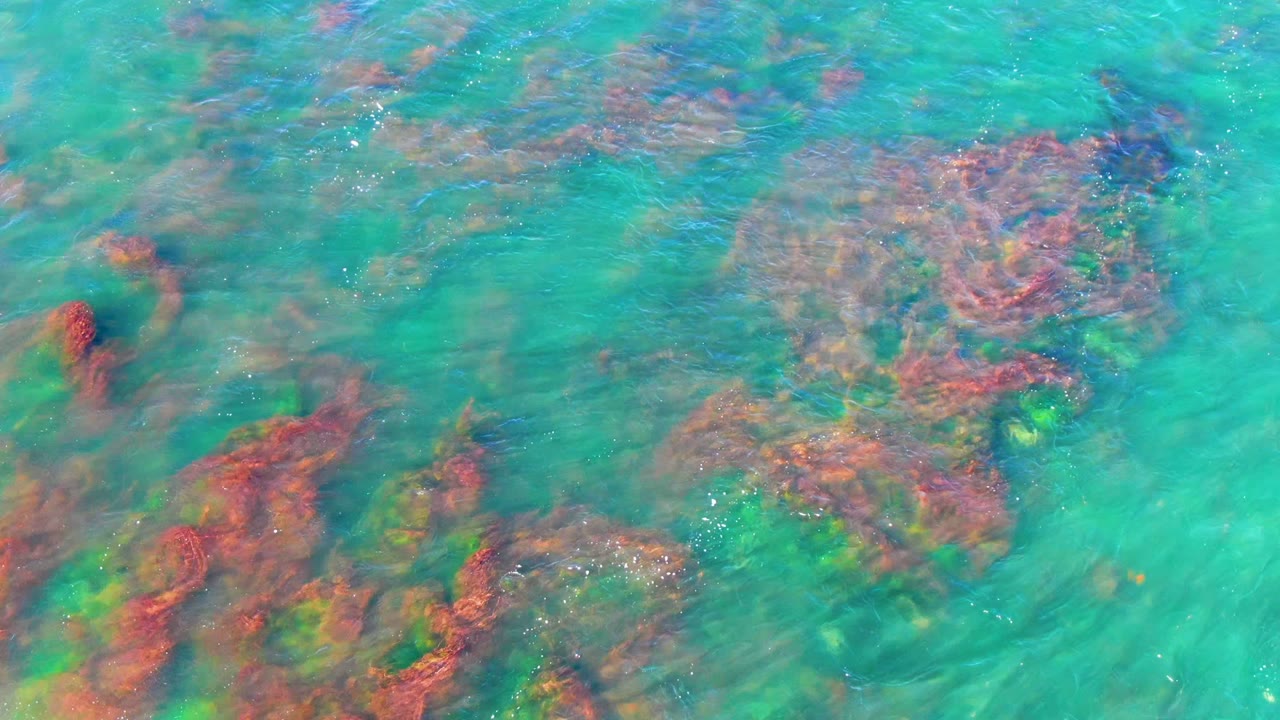 Algae-covered rocks beneath rippled turquoise water