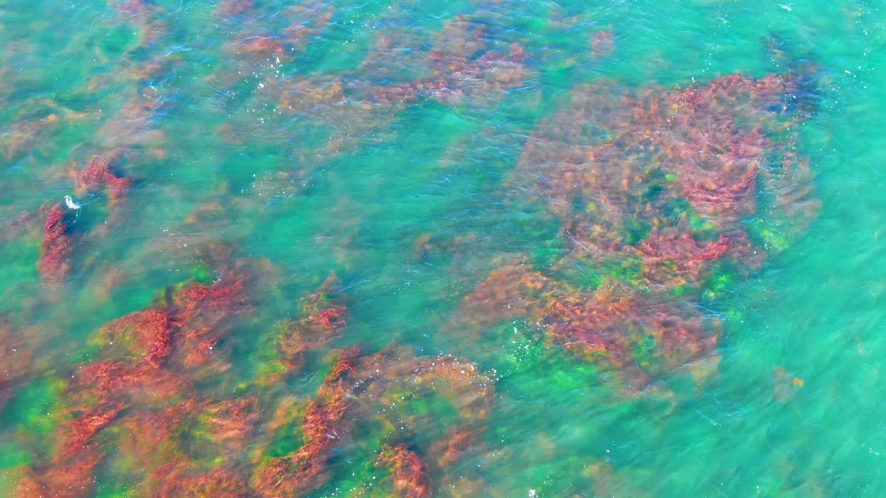 Bright shallow turquoise water passes over darker submerged rock patches with red and green algae in La Bocana, no visible people.