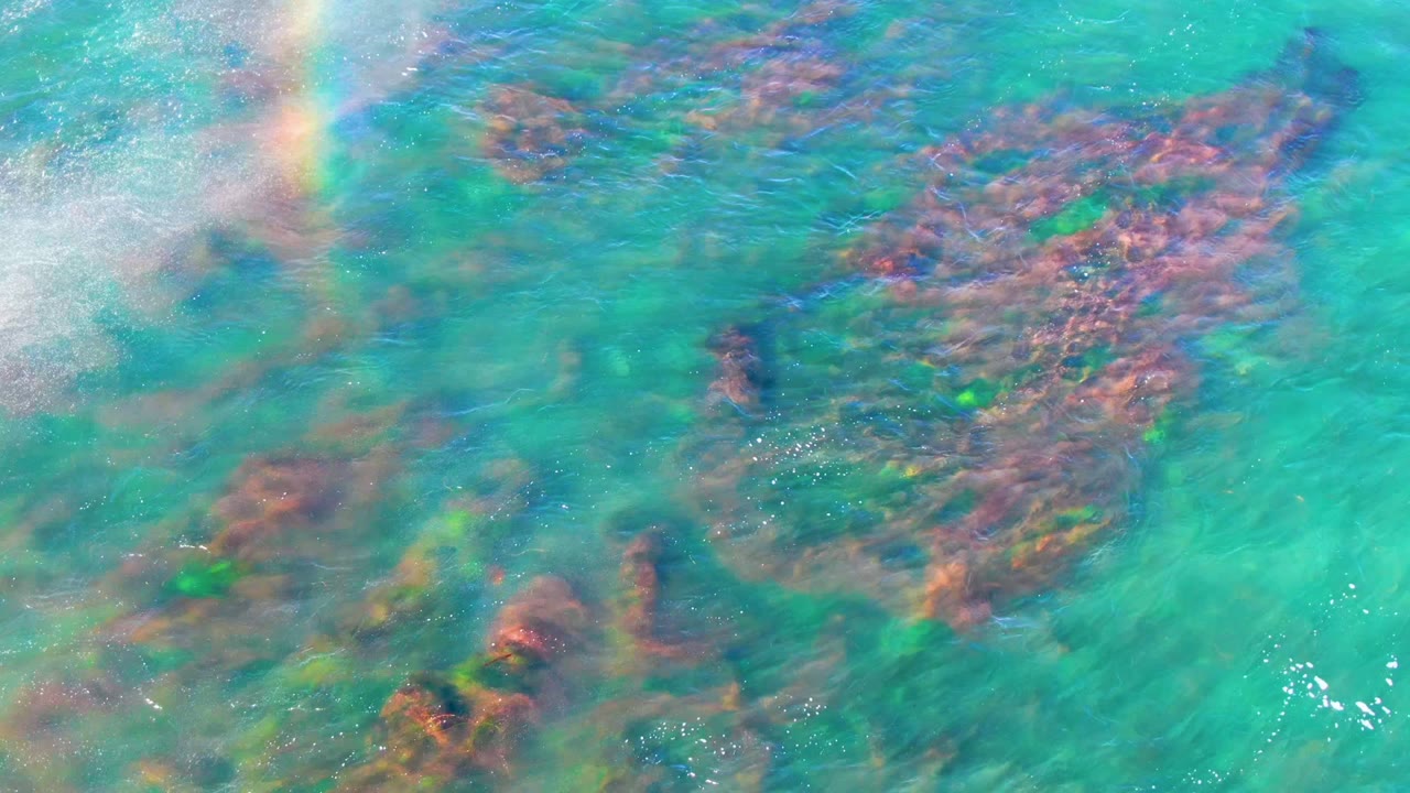 Clear turquoise water with submerged seaweed and fading rainbow reflection