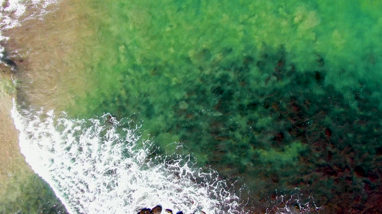 White wave foam spreads farther across shallow green water near sand.