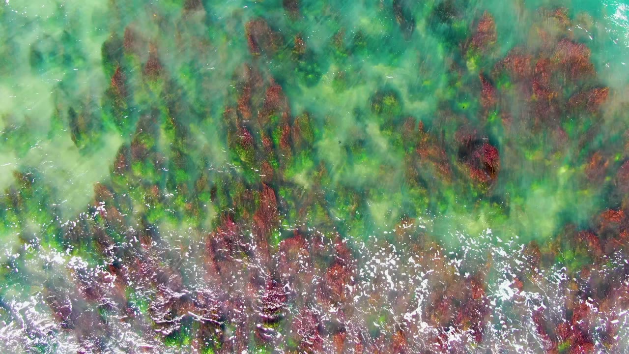 Overhead view in La Bocana, Baja California Sur, showing clear turquoise shallow water over green and red algae-covered rocks with no visible people.