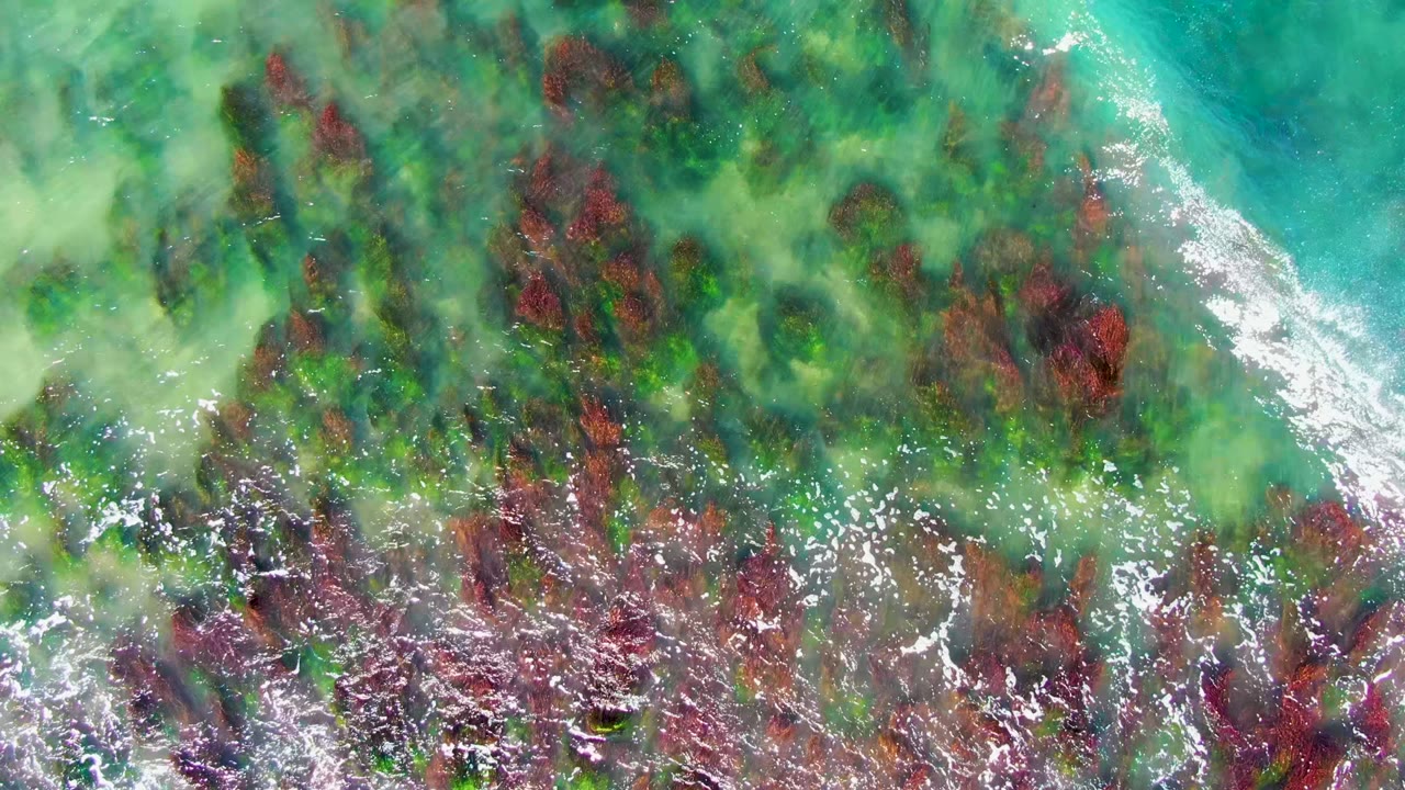 Shallow surf beginning to brighten over red and green rocks