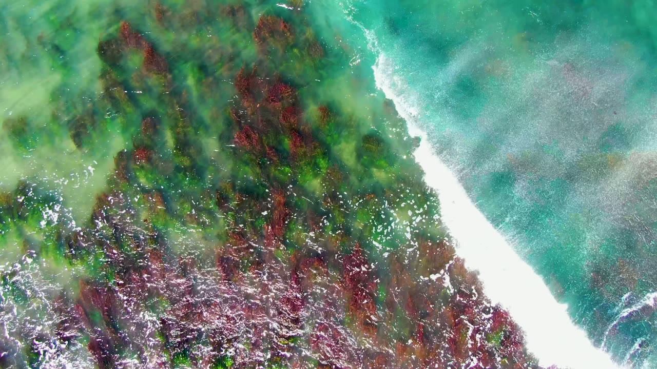 An overhead view in La Bocana, Baja California Sur, where a diagonal white wave line cuts into turquoise water above dark algae-covered rocks, with no visible people.