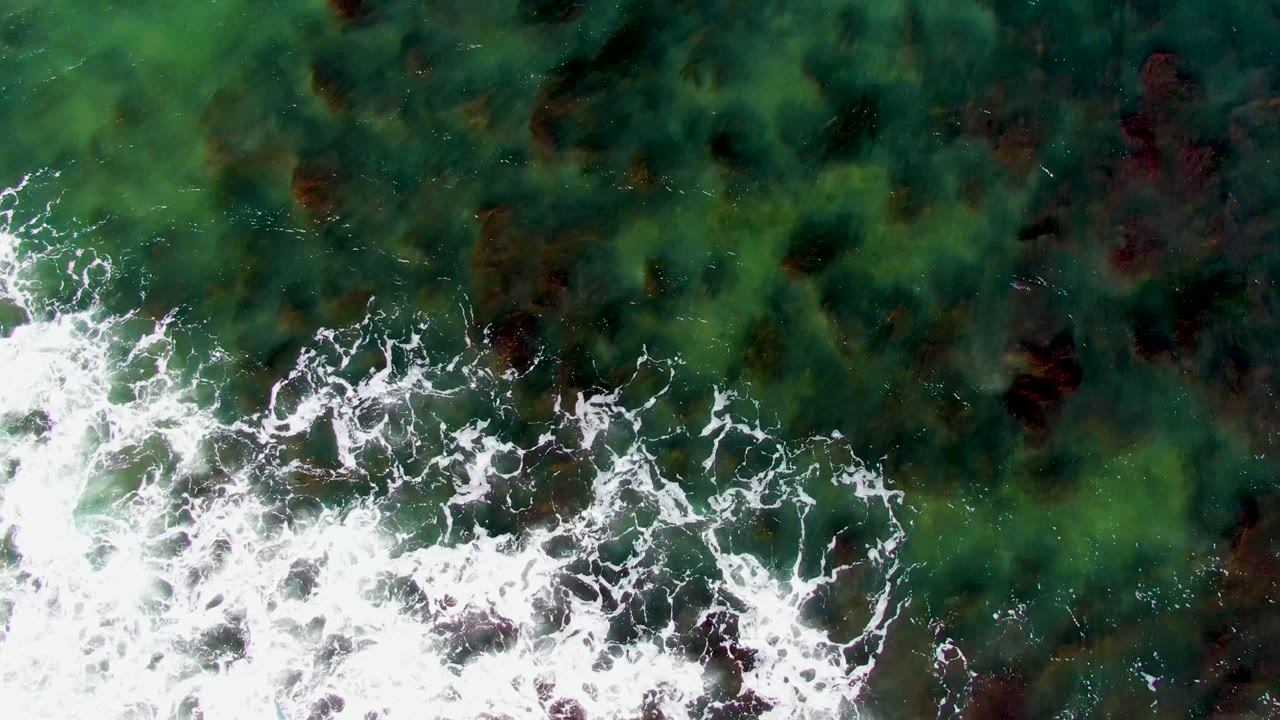 Overhead view of La Bocana coastal water with white foam along the lower edge, red and green seaweed visible beneath the surface, and no visible people.