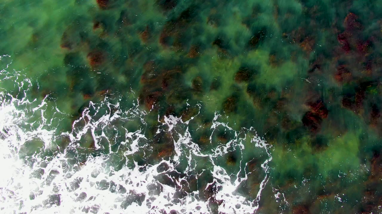 White wave foam spreads over green water and red seaweed below.