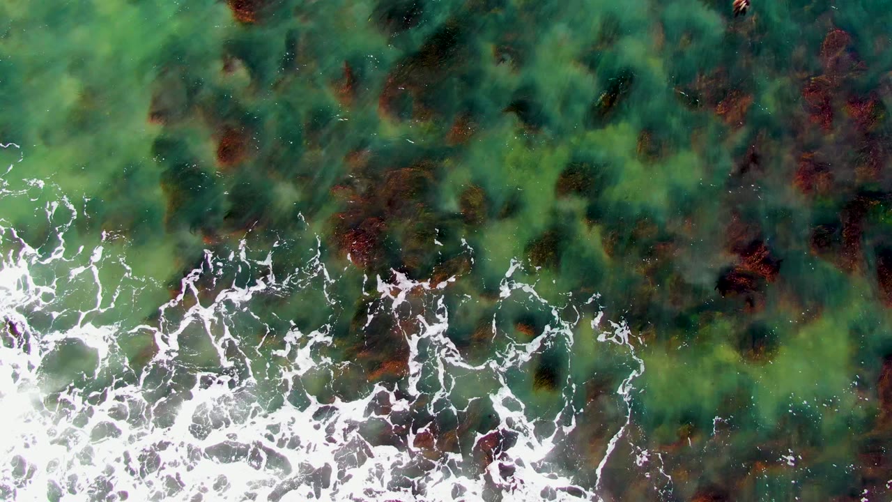 Top-down view over La Bocana water where white surf fragments cross the lower portion and green and red seaweed remain visible through the clear surface, with no visible people.