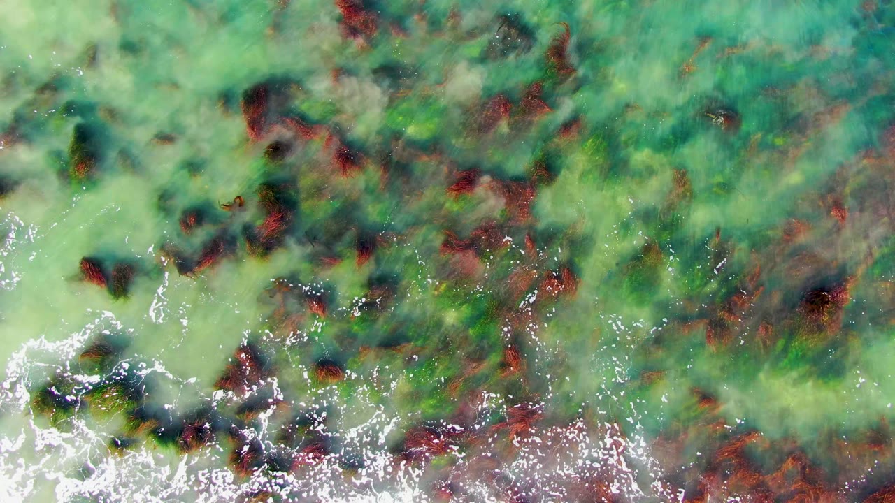 Overhead view of shallow coastal water in La Bocana, Baja California Sur, Mexico, with red-brown algae patches, pale green water, bright foam along the lower edge, and no visible people.