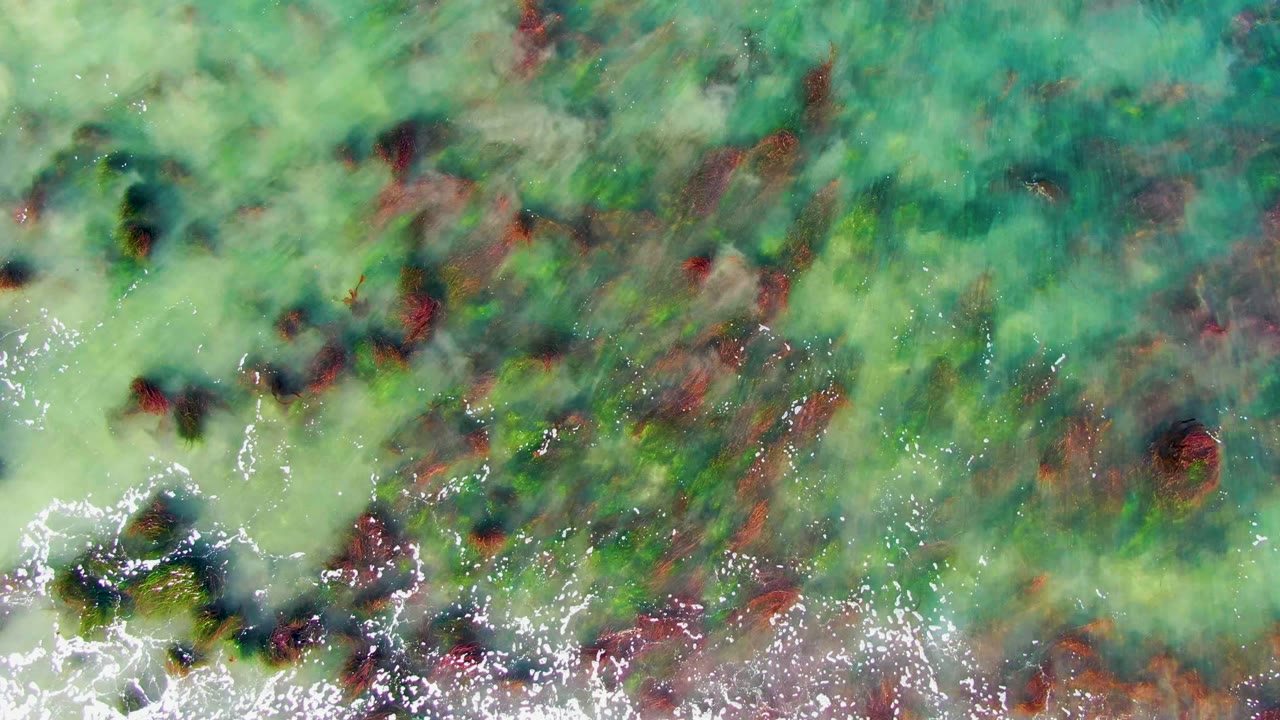 Aerial view of mottled green coastal water over dark and red algae