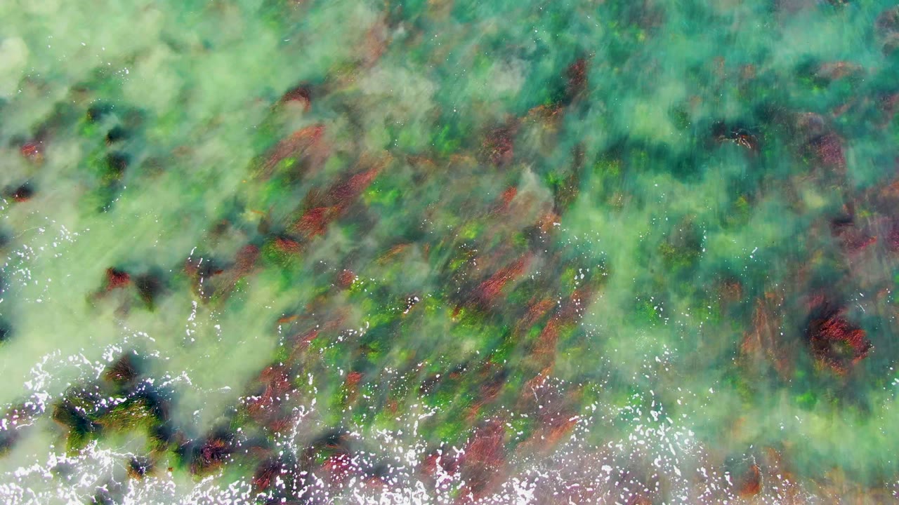 Top-down La Bocana coastal water shows pale green and turquoise shallows, scattered red-brown algae, darker submerged patches, small foam streaks near the lower edge, and no visible people.