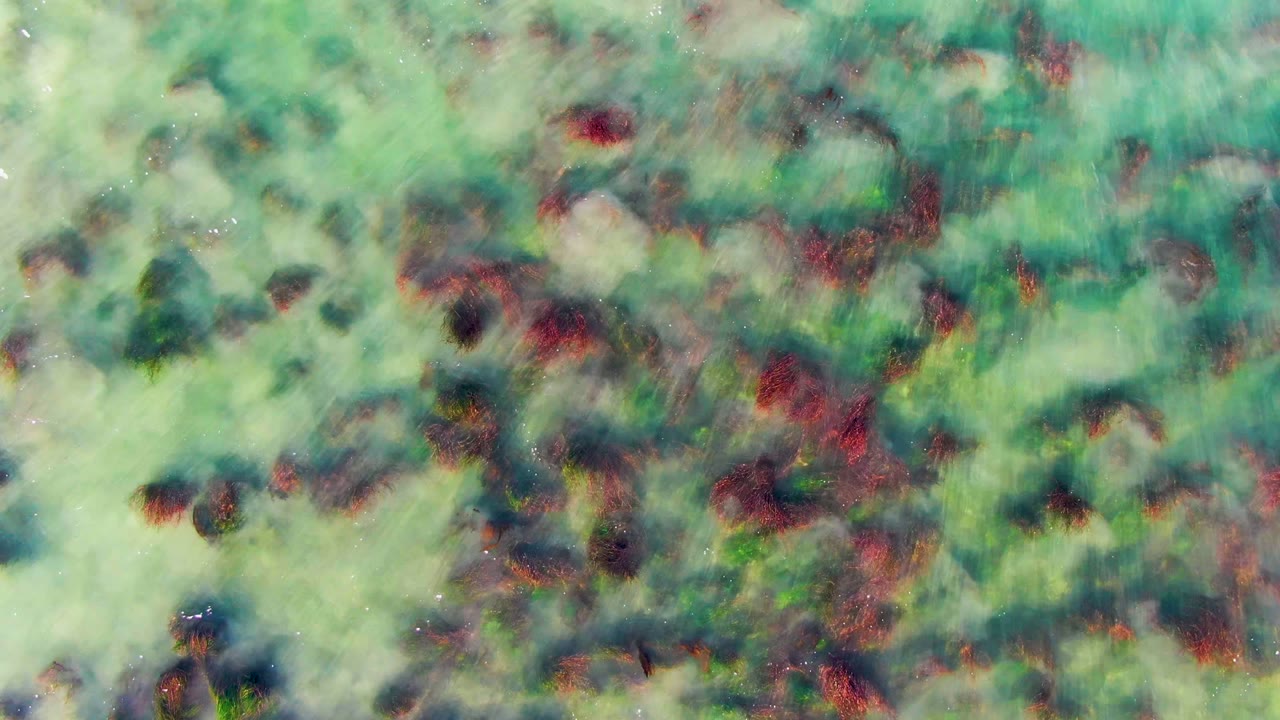 A later overhead frame from La Bocana shows turquoise water crossing darker red-brown vegetation patches and pale seabed, with no visible people or structures.