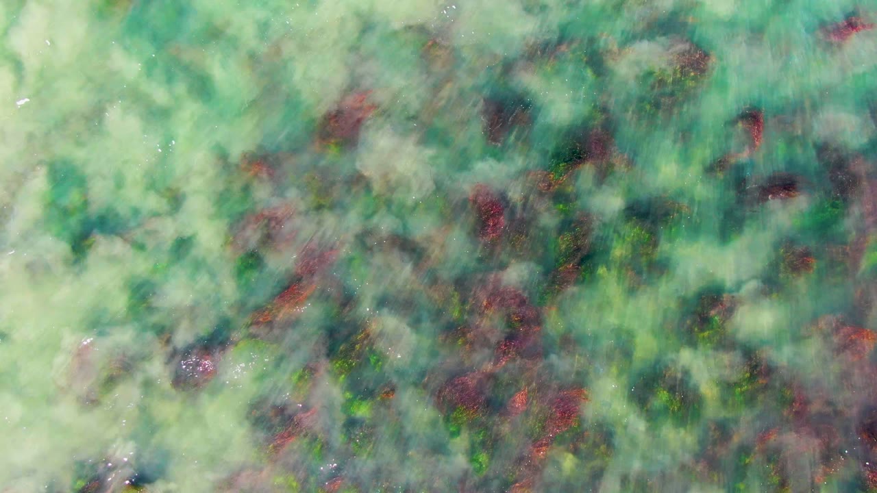 Top-down view of clear turquoise water over red and green coral formations in La Bocana, Baja California Sur, with no visible people.