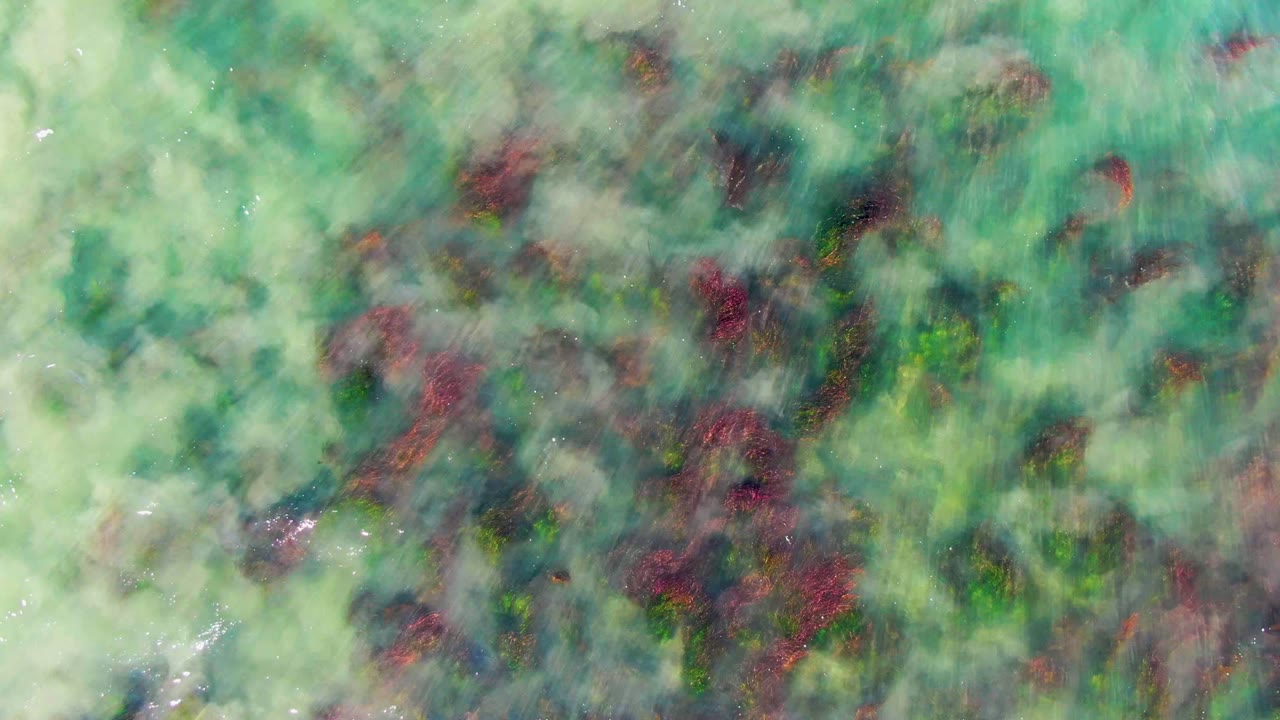 Cloudy green water with darker coral shapes below