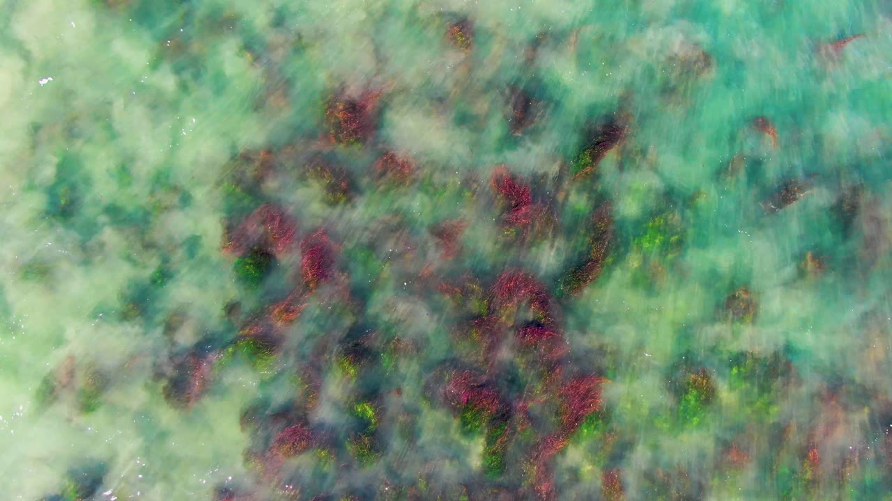 A top-down frame shows scattered red coral marks and pale underwater patches through clear shallow water at La Bocana, Baja California Sur, with no visible people.