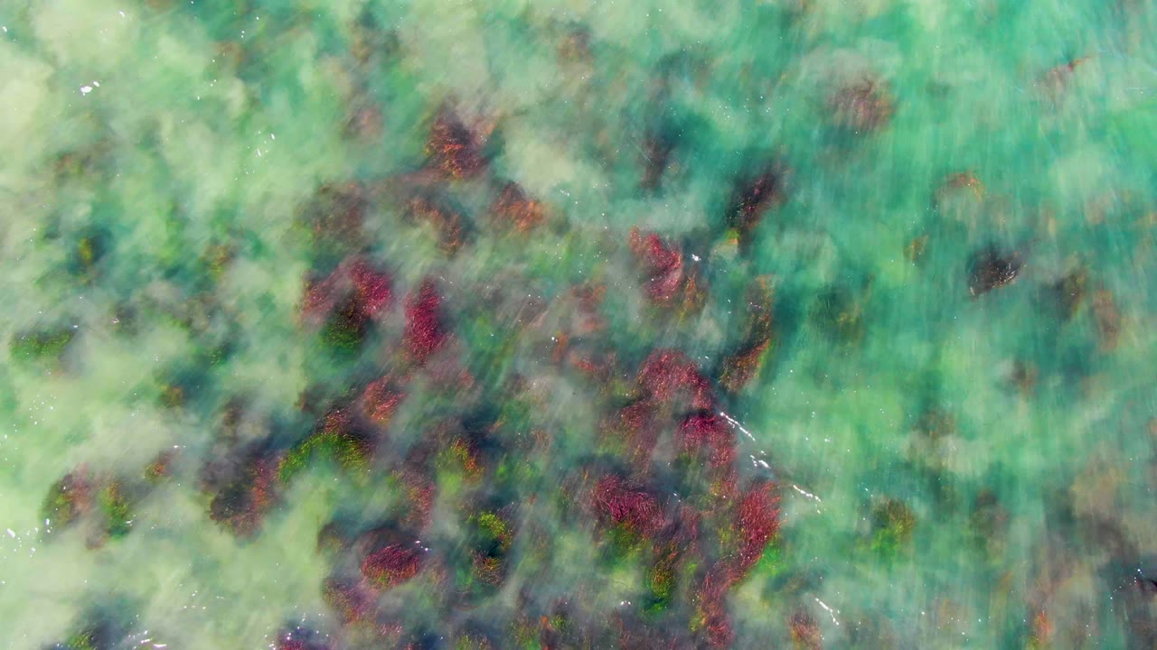 Green-turquoise water above dense coral and vegetation