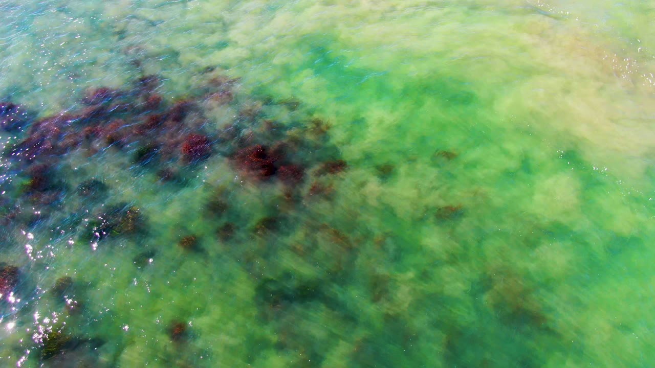 At two seconds, dark seaweed sits under bright green shallow water in La Bocana, with small sparkles along the left edge and no visible people.
