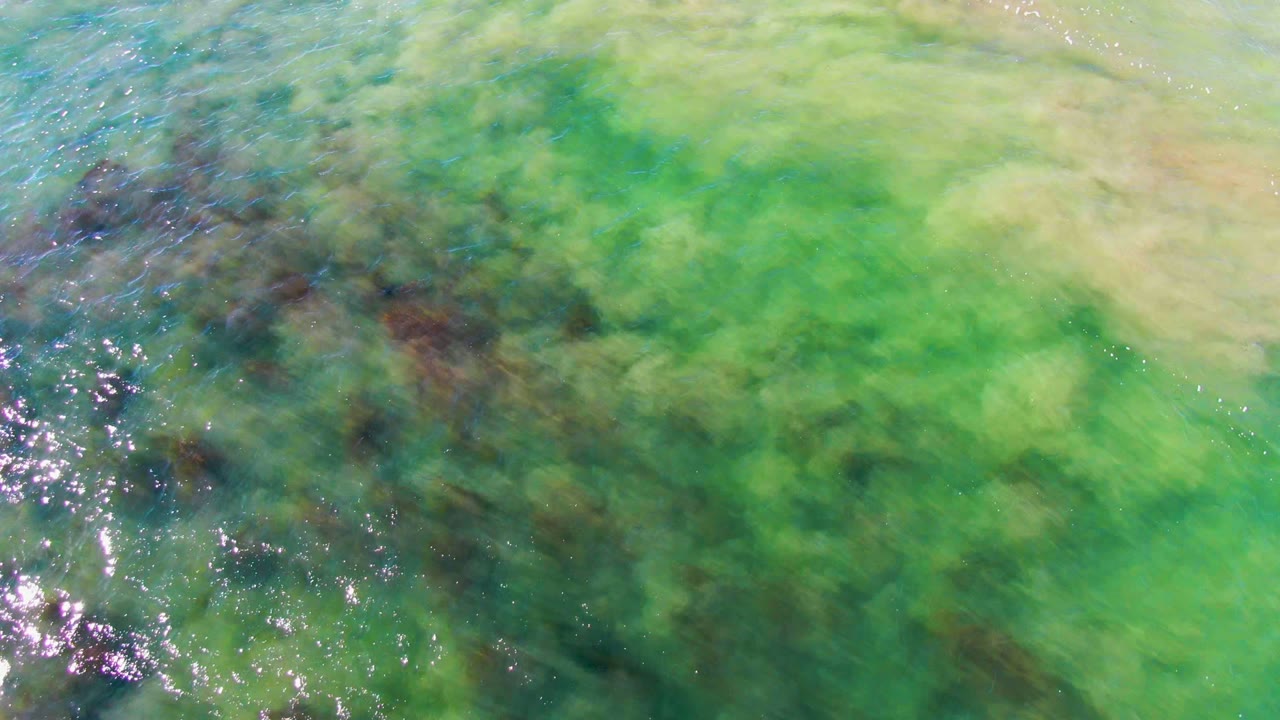 Clear shallow water in La Bocana, Baja California Sur shows green algae, dark submerged seaweed, pale sandy areas, bright surface glints, and no visible people.