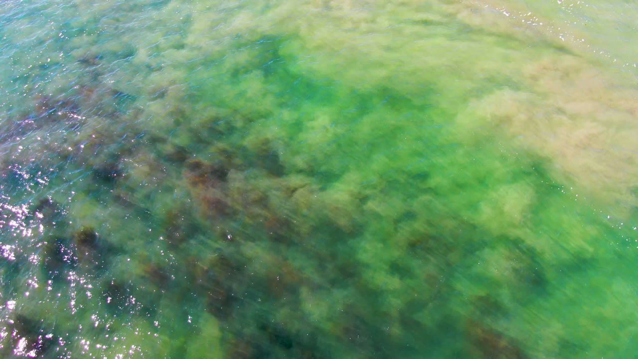Green coastal water in La Bocana, Baja California Sur contains broad pale underwater areas, darker seaweed patches near the left and center, light wave texture, and no visible people.