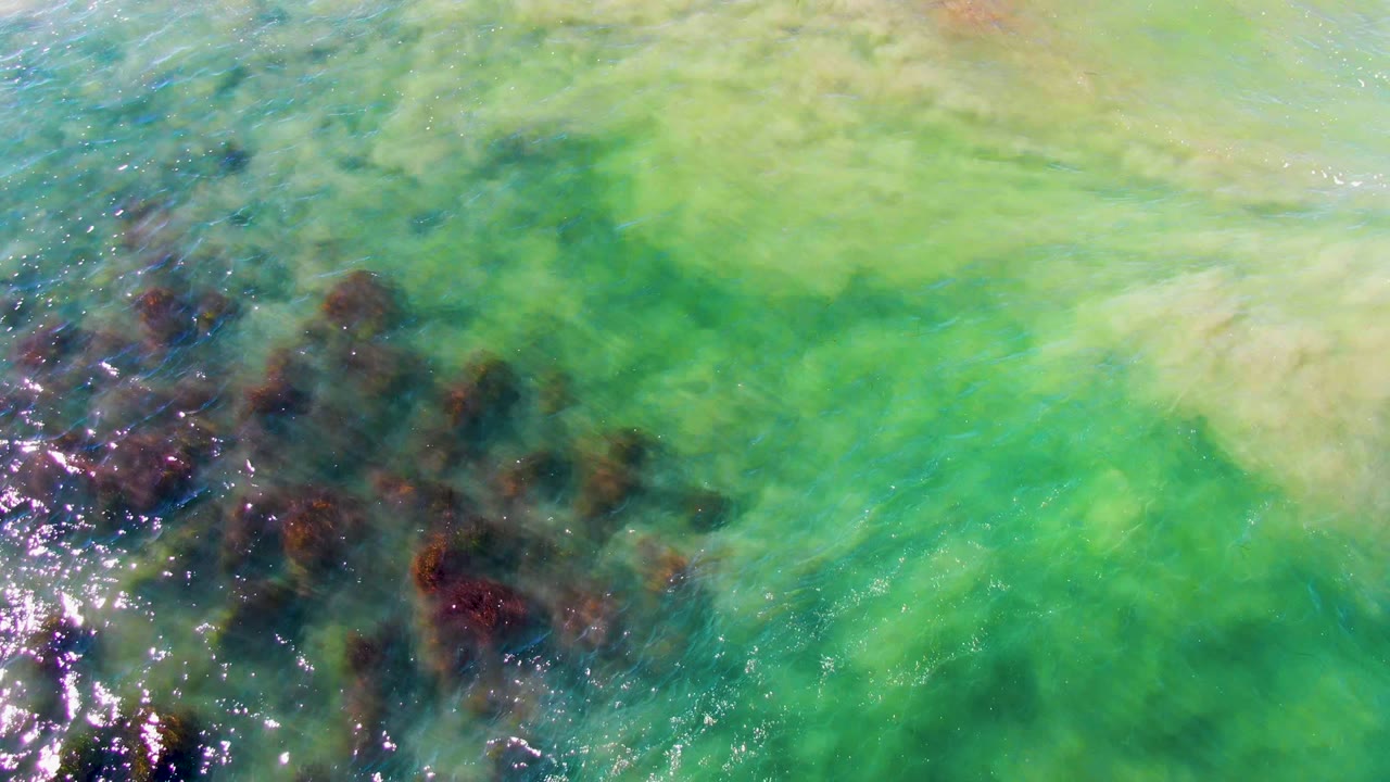 Top-down view of green algae and clear coastal water in La Bocana, Baja California Sur, with dark submerged rocks at left and no visible people.