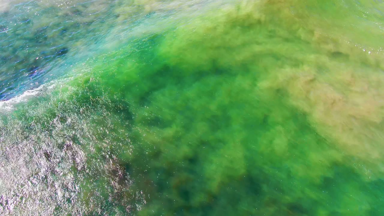 Clear La Bocana coastal water with bright sun glare on ripples at left, green algae spread across the frame, darker underwater rocks below, and no visible people.