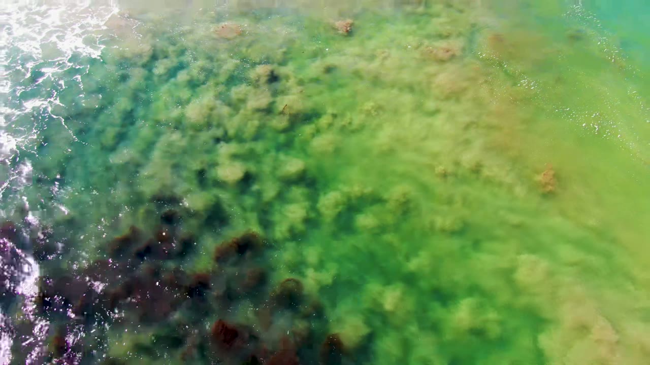 Top-down aerial view of clear green water over dark underwater rocks near La Bocana, Baja California Sur, with white surf foam along the left edge and no visible people.