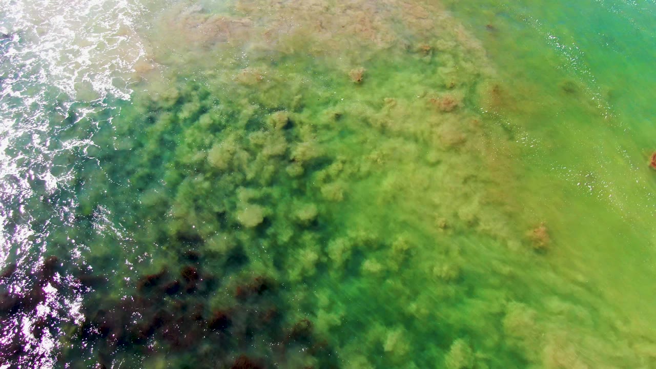Transparent green coastal water with dark submerged rock patches and bright wave foam at left.