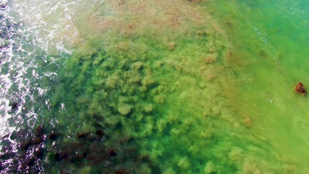 Top-down La Bocana coastal water with foamy surf along the left side, mottled underwater formations across the center, a small exposed rock on the right, and no visible people.