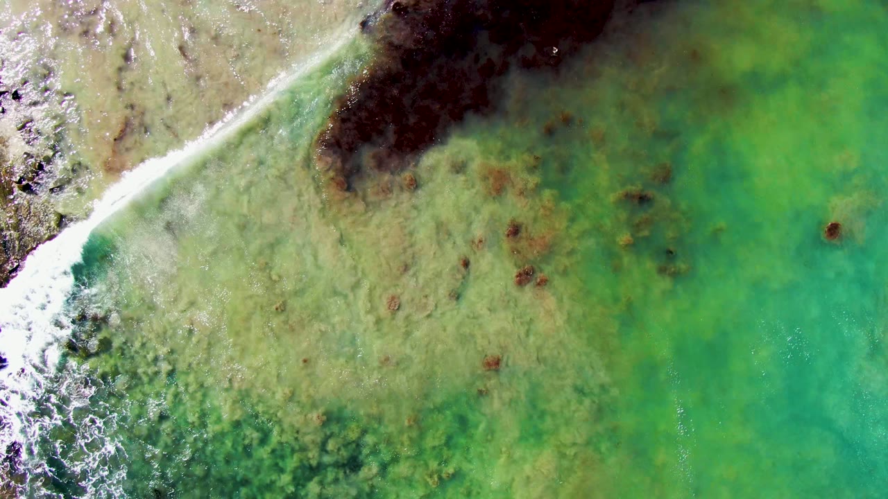 Overhead aerial frame in La Bocana, Baja California Sur showing green shallow water, scattered brown seaweed patches, white surf foam at the left edge, and no visible people.