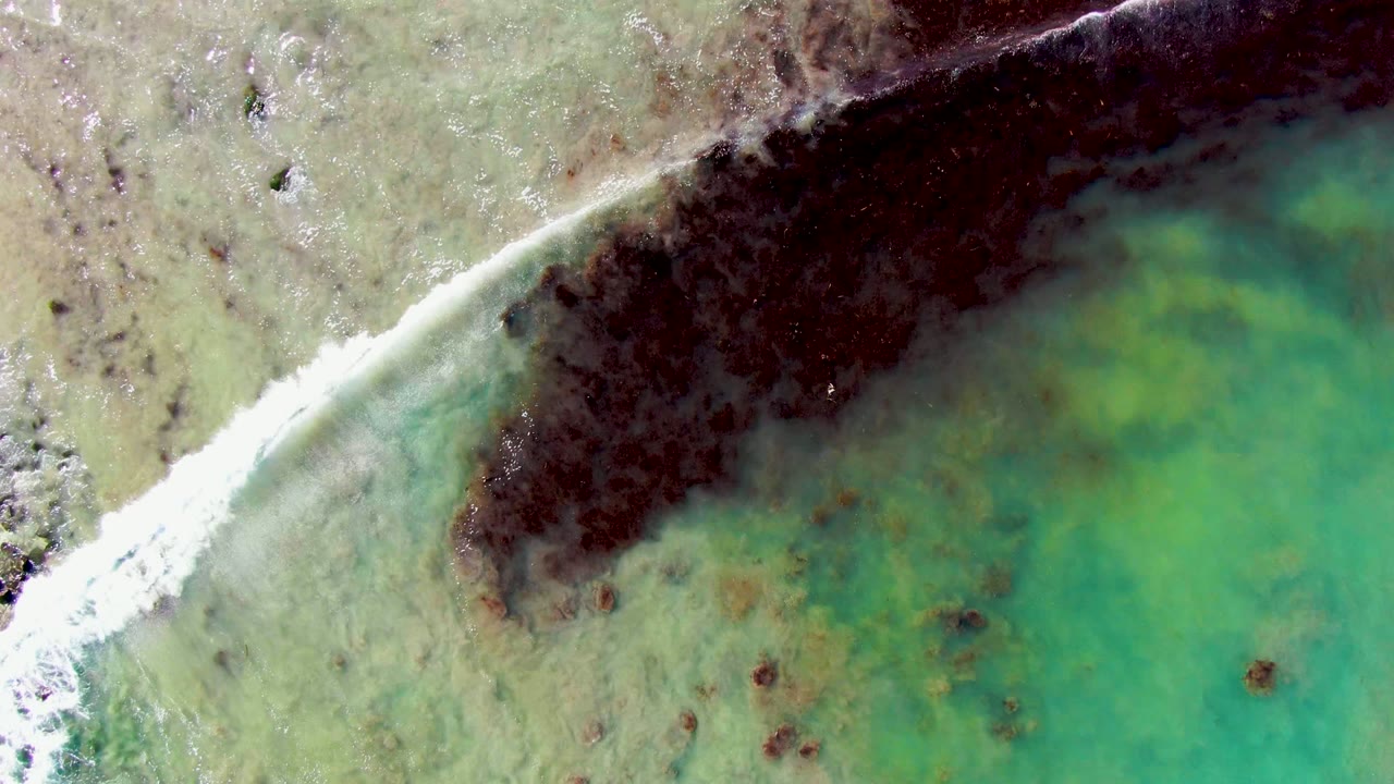 Diagonal white foam line crossing shallow green water with darker seaweed below.