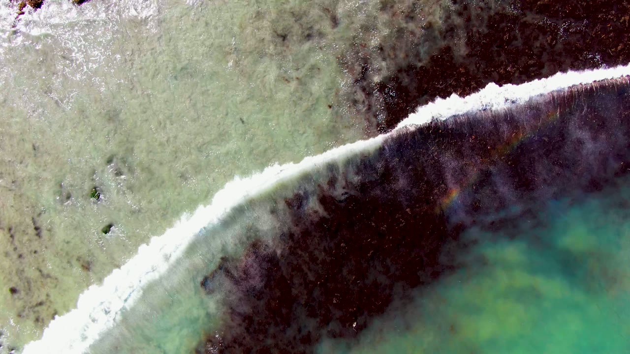 Overhead aerial frame in La Bocana, Baja California Sur showing a closer diagonal strip of white foam beside dark seaweed over pale green water, with no visible people.