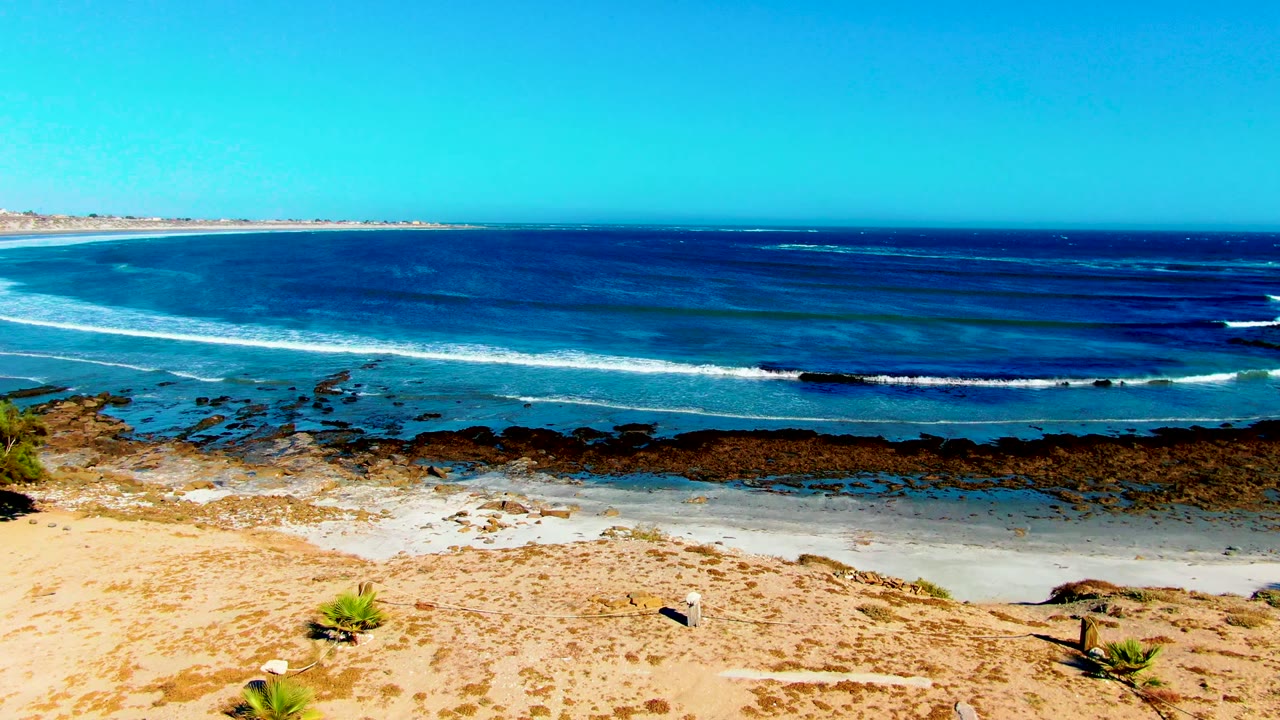 Sandy shoreline with small objects, plants, rocks, waves, and open ocean.