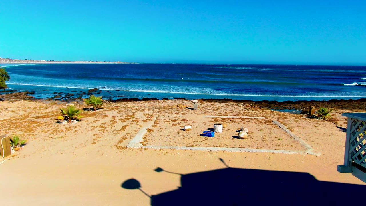 Beach foreground with small plants and waves across blue water.