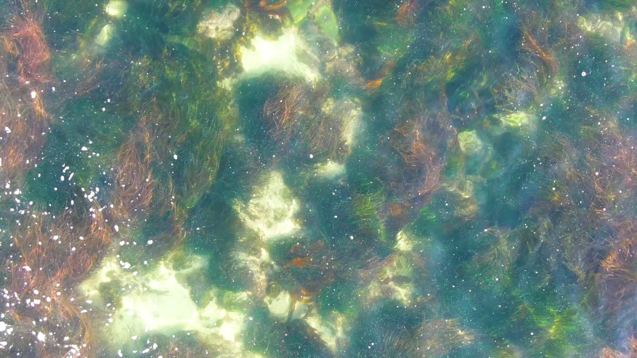 At 0:02 in La Bocana, Baja California Sur, rippled blue-green water crosses kelp strands and scattered white bubbles, with no visible people.