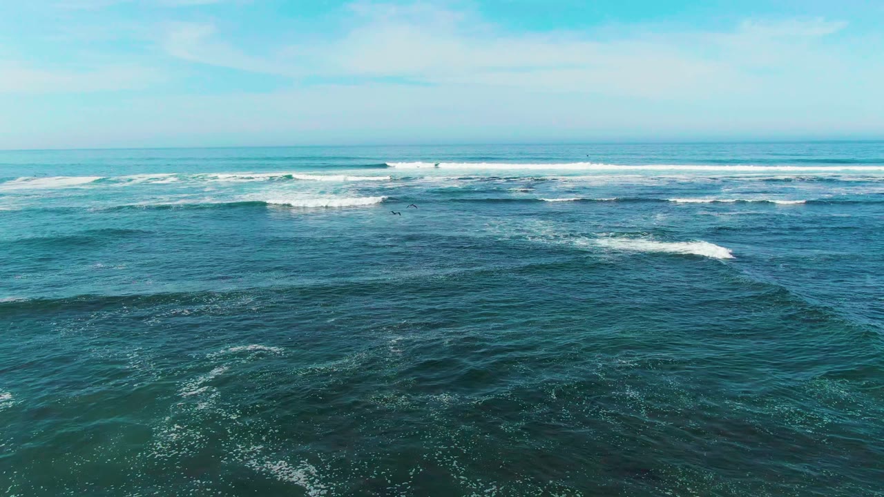 Open ocean with rolling whitecaps spread across the middle of the frame