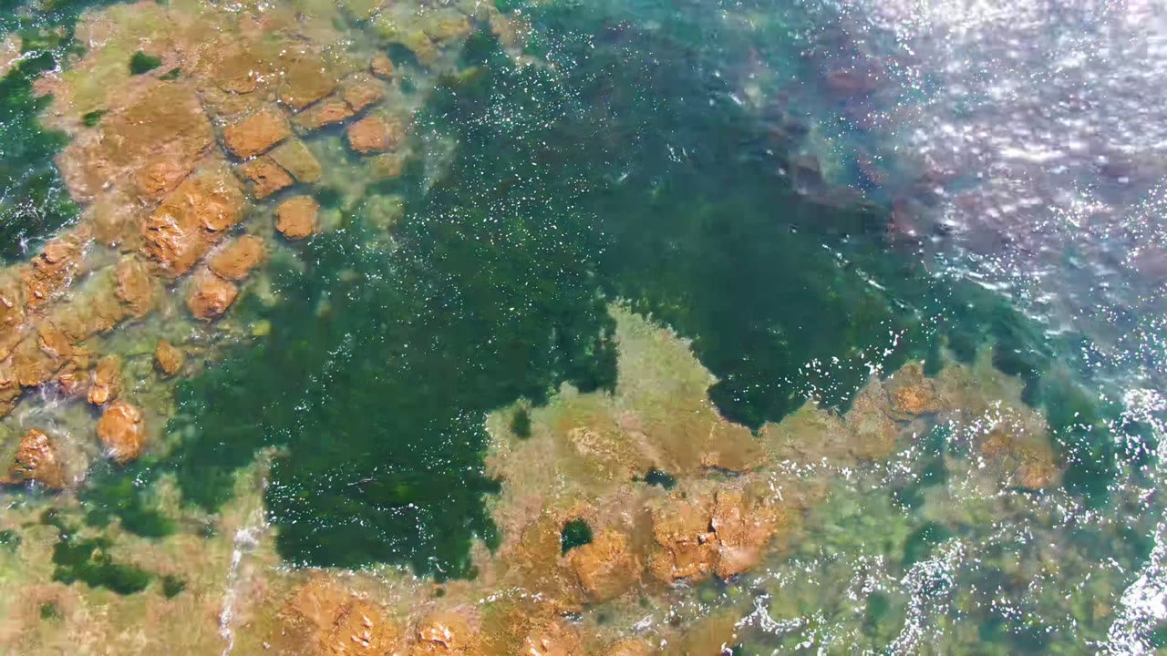 Overhead view of La Bocana rocky shore with brown rock shelves, green algae, clear teal water, bright glare at upper right, and no visible people.