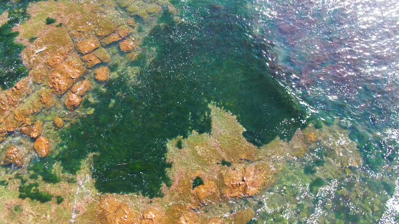 Clear tide water over brown rocks and green algae.