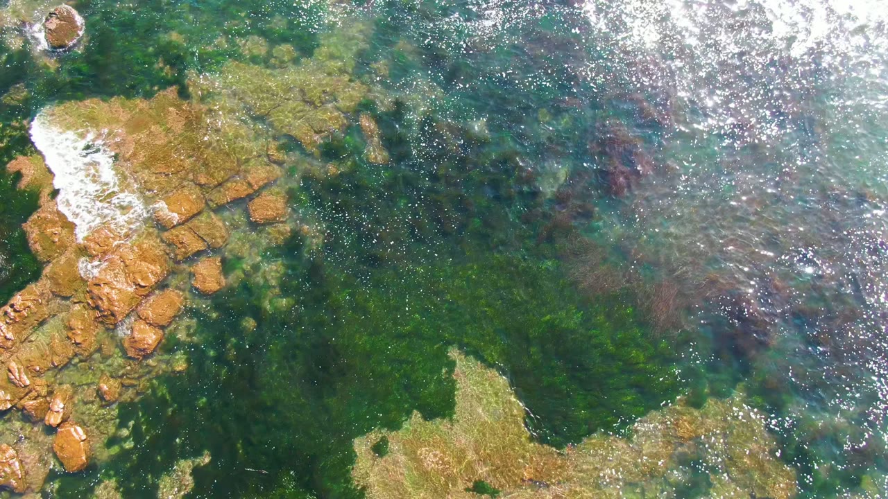 Overhead frame of La Bocana shallow water with brown rocks at left, green marine vegetation under the surface, bright glare near the top, and no visible people.