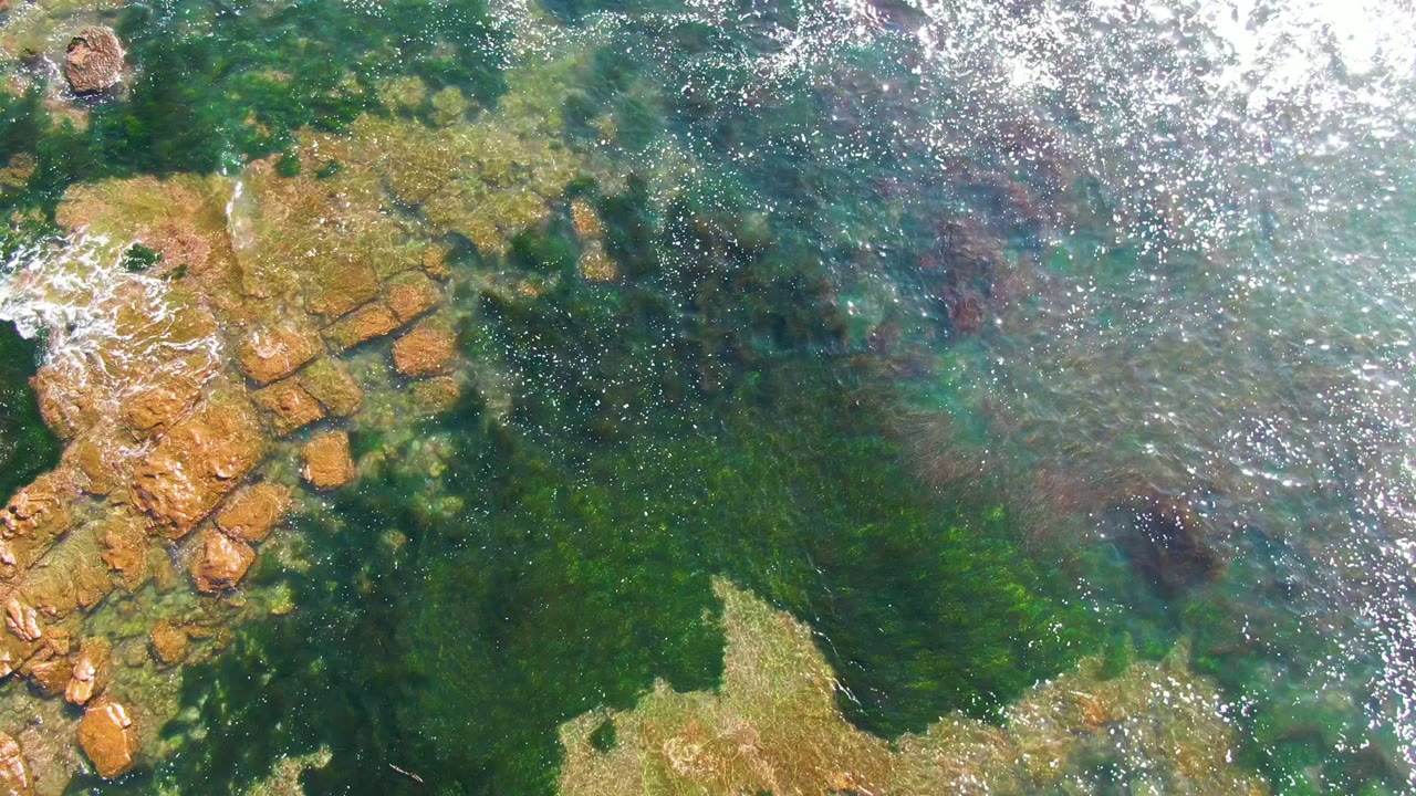Clear rippled water over a rocky outcrop and seaweed